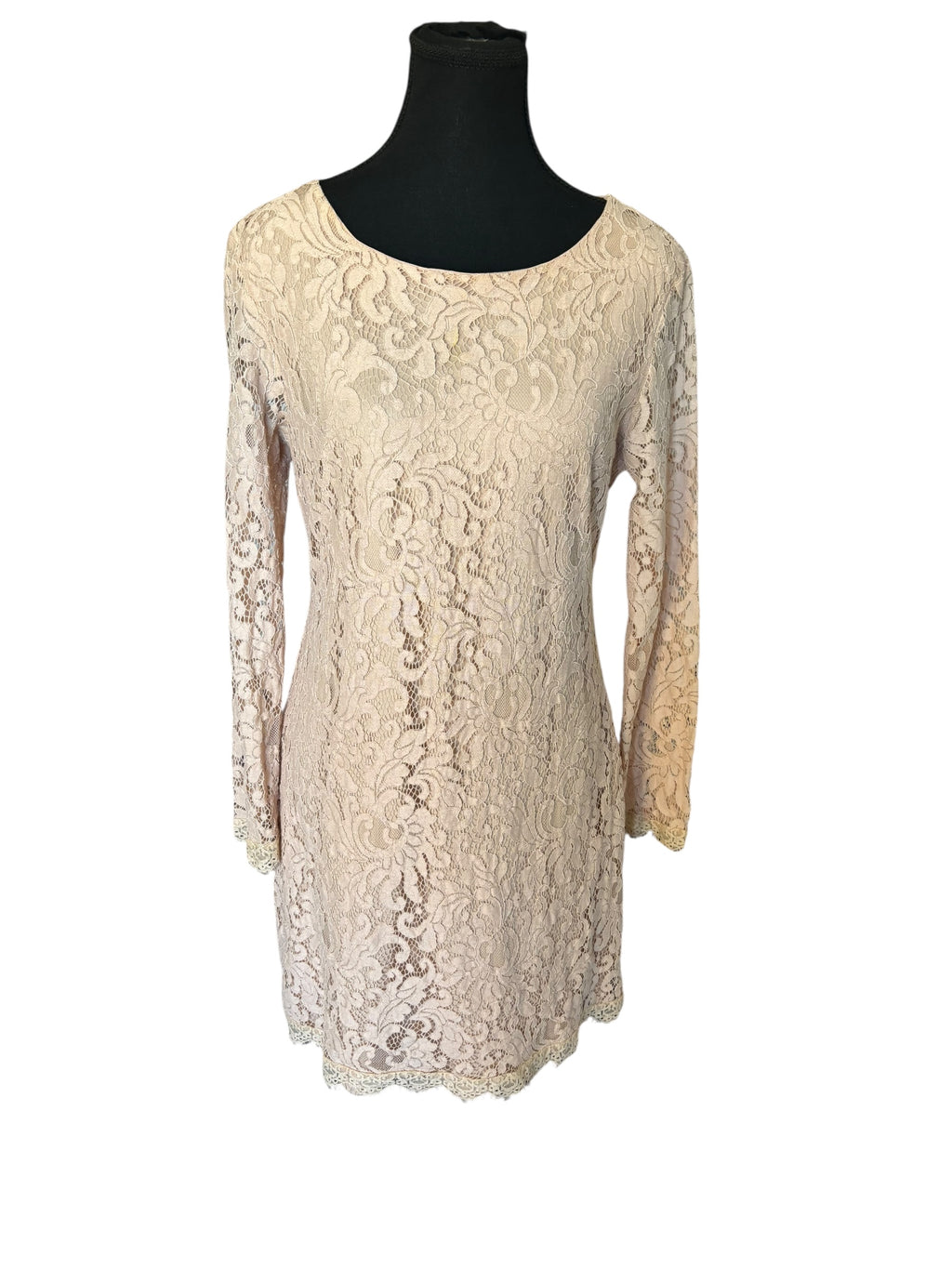 Blush Lace Dex Dress Women's Long Sleeve Cocktail Party Elegant Size Large