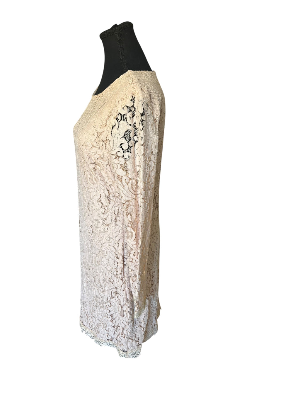 Blush Lace Dex Dress Women's Long Sleeve Cocktail Party Elegant Size Large